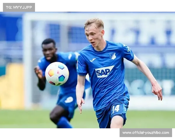 德甲霍芬海姆对阵勒沃库森，往绩平分秋色